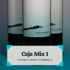 CAJA MIX 1