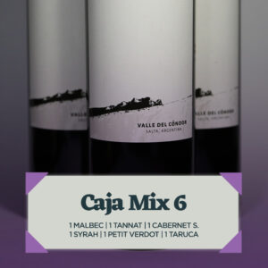 CAJA MIX 6