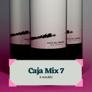 CAJA MIX 7