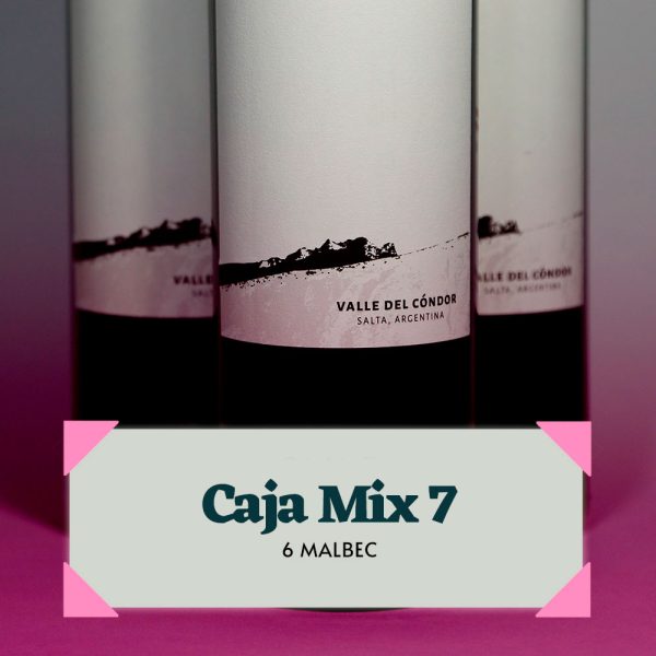 CAJA MIX 7