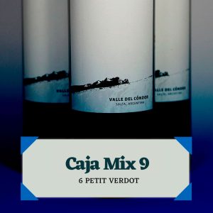 CAJA MIX 9