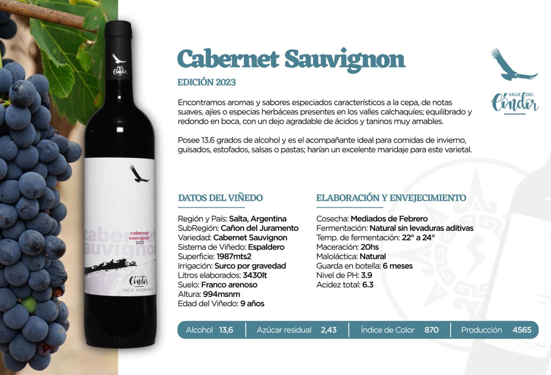 CabernetS CabernetS