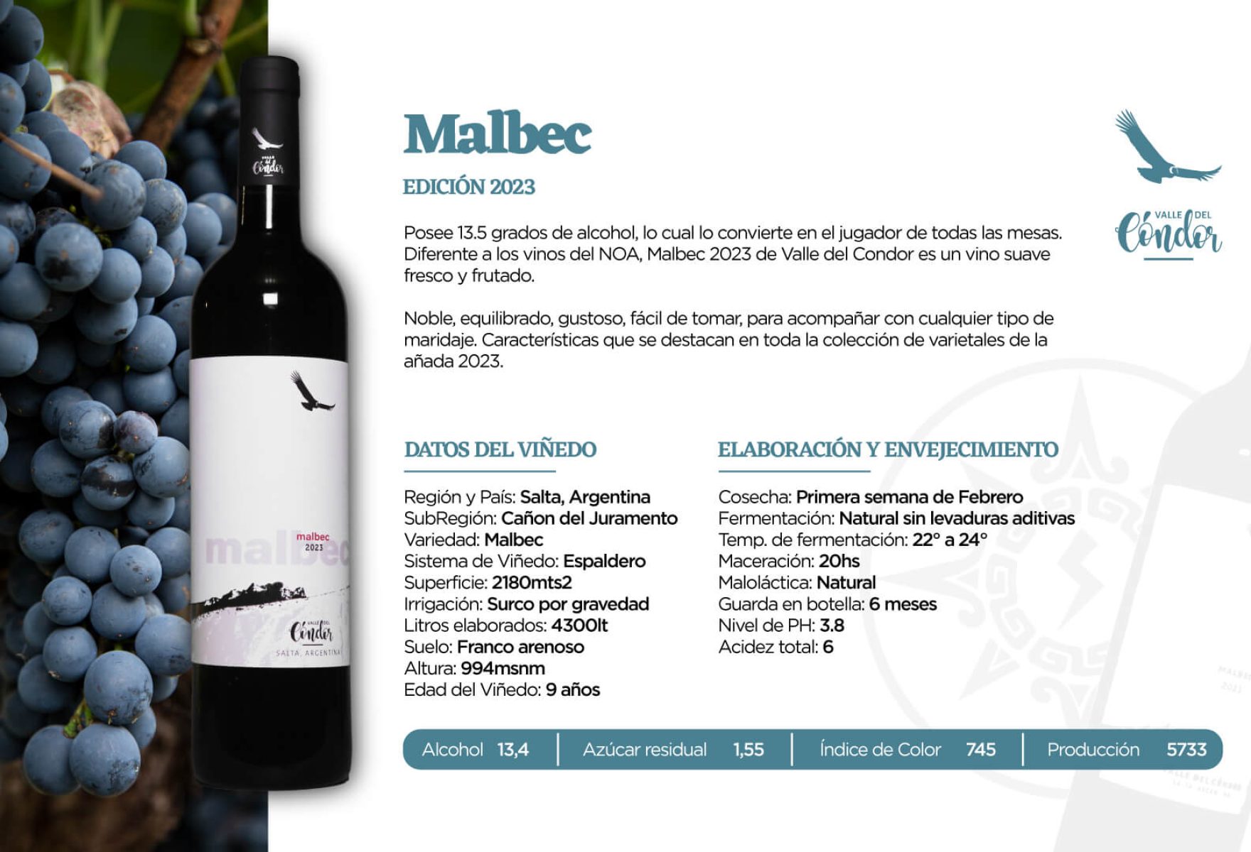Malbec Malbec