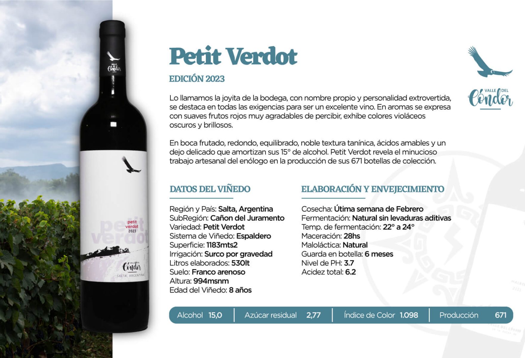 Petit-Verdot Petit-Verdot