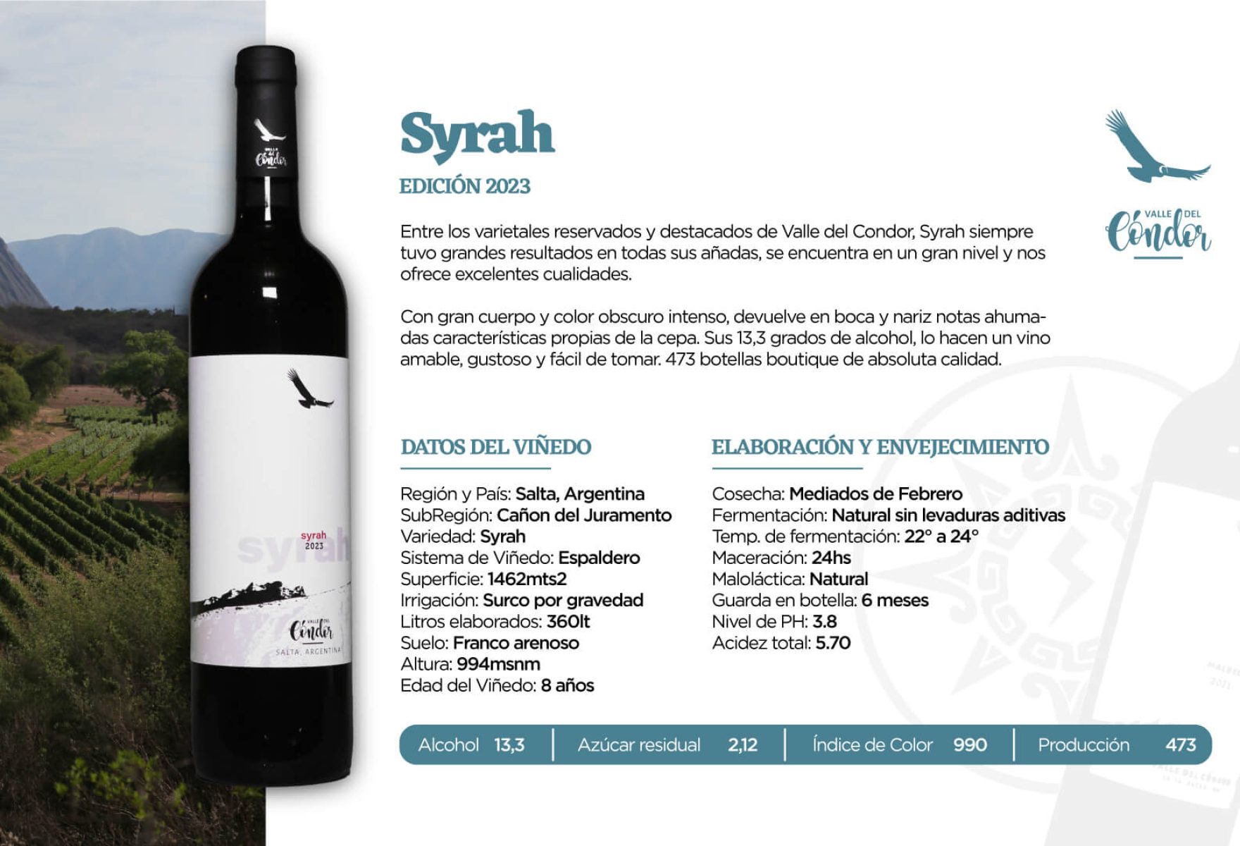 Syrah Syrah